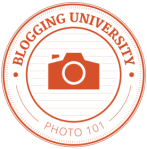 WP Blogging Photo 101 Badge